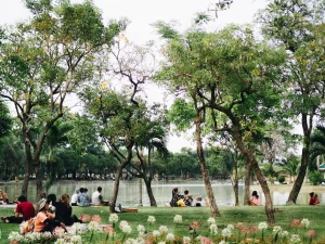 1 Day itinerary Plan in East Jakarta: Hidden Gems Made for Nature Enthusiasts