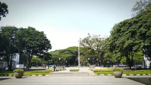 2 Days Itinerary Plan in East Jakarta:  Destinations Made for Nature Enthusiasts