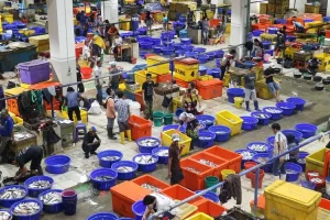 All You Need To Know About Muara Baru Jakarta