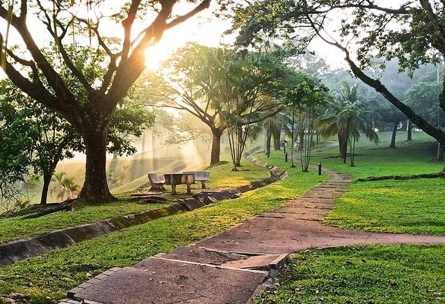 sunlit park path with bench and trees