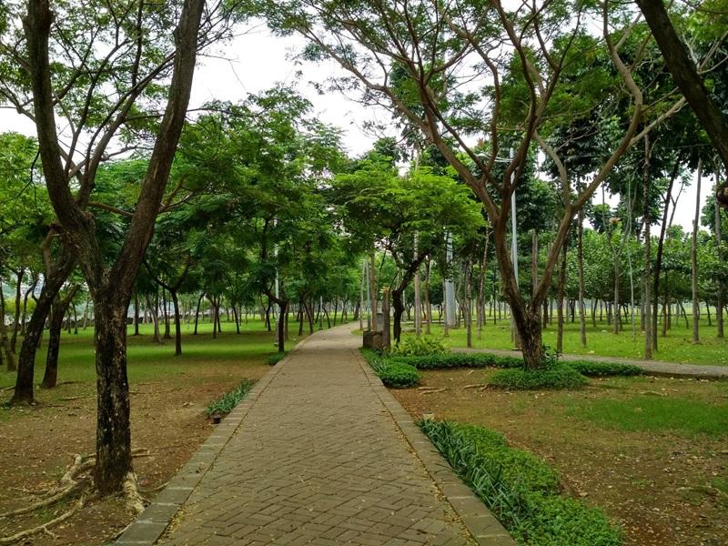 Paved path through green park with trees