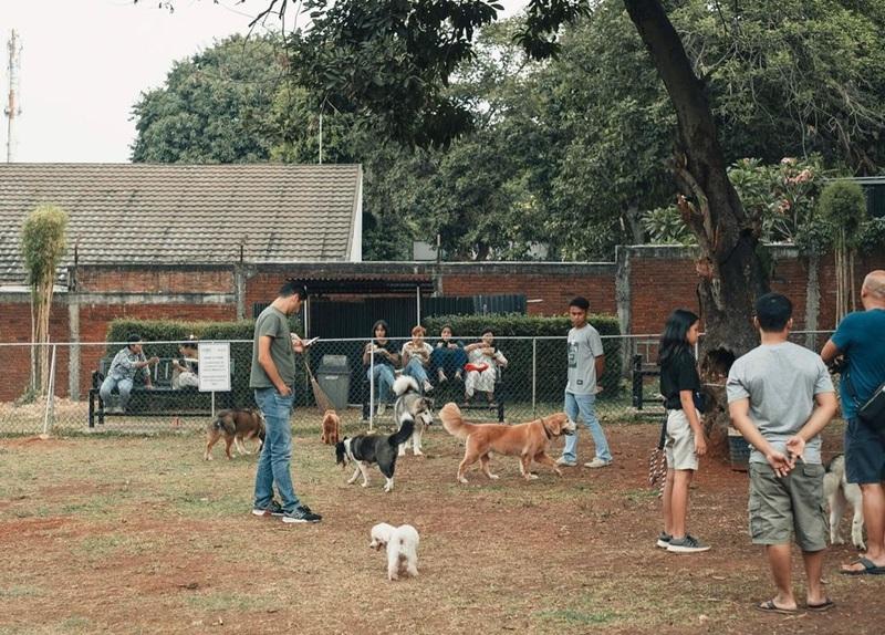 People and dogs socializing at a fenced dog park