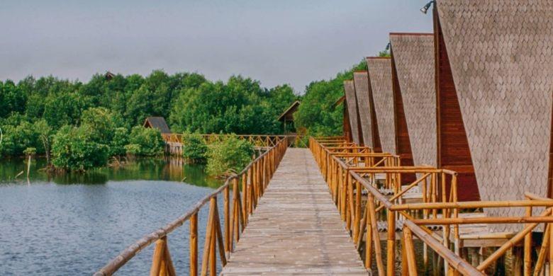 Wooden boardwalk leading to lakeside cabins among trees