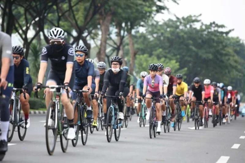 group of cyclists riding on a tree-lined road