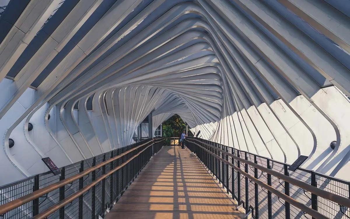 Twisting white ribbed pedestrian bridge with wooden floor