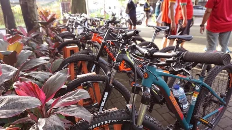 Row of parked mountain bikes next to plants