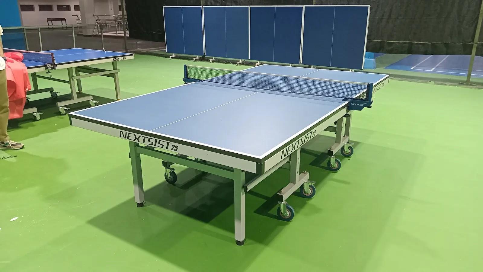 NEXTSIST blue table tennis table on green floor