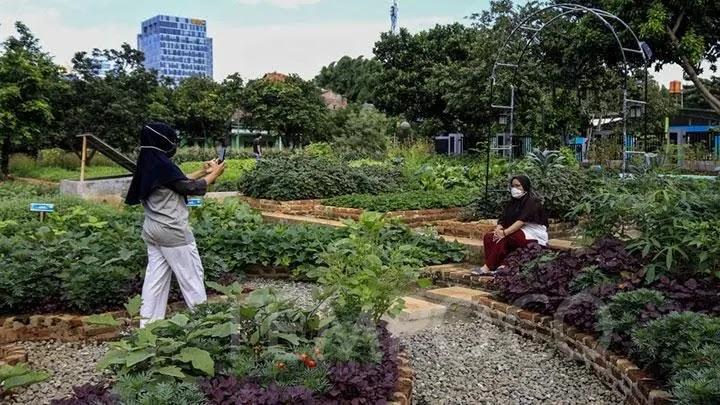 Person photographing another in urban community garden