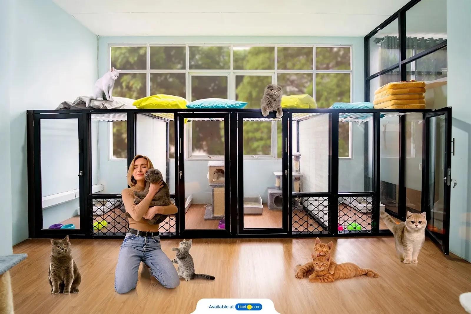 Woman hugging a cat in a bright cat shelter room