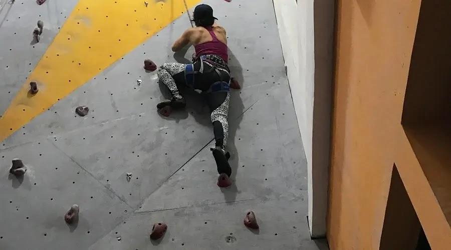 person climbing indoor rock wall with harness