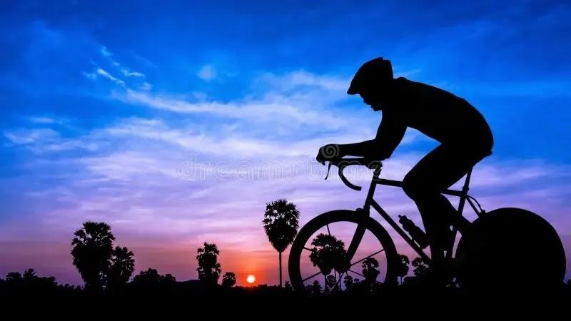 Silhouette of cyclist at sunset with palm trees