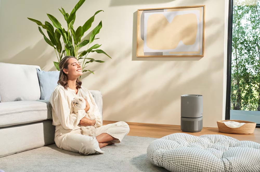 Woman holding cat on living room sofa with air purifier, sunlight through window and indoor plants in background
