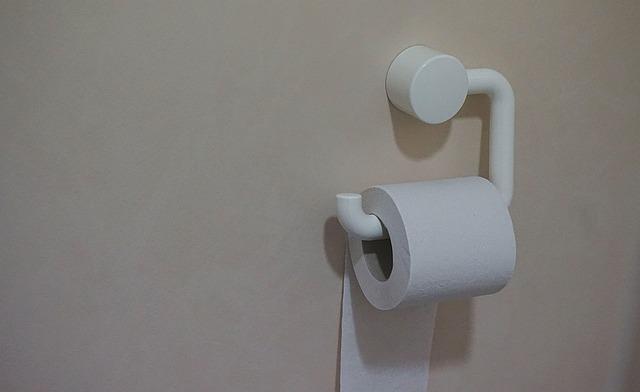 Minimalist bathroom toilet paper holder with roll mounted on a wall, soft gray lighting