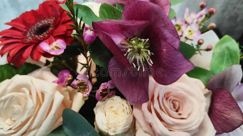 Bouquet of red and purple flowers with roses and clematis on a soft background