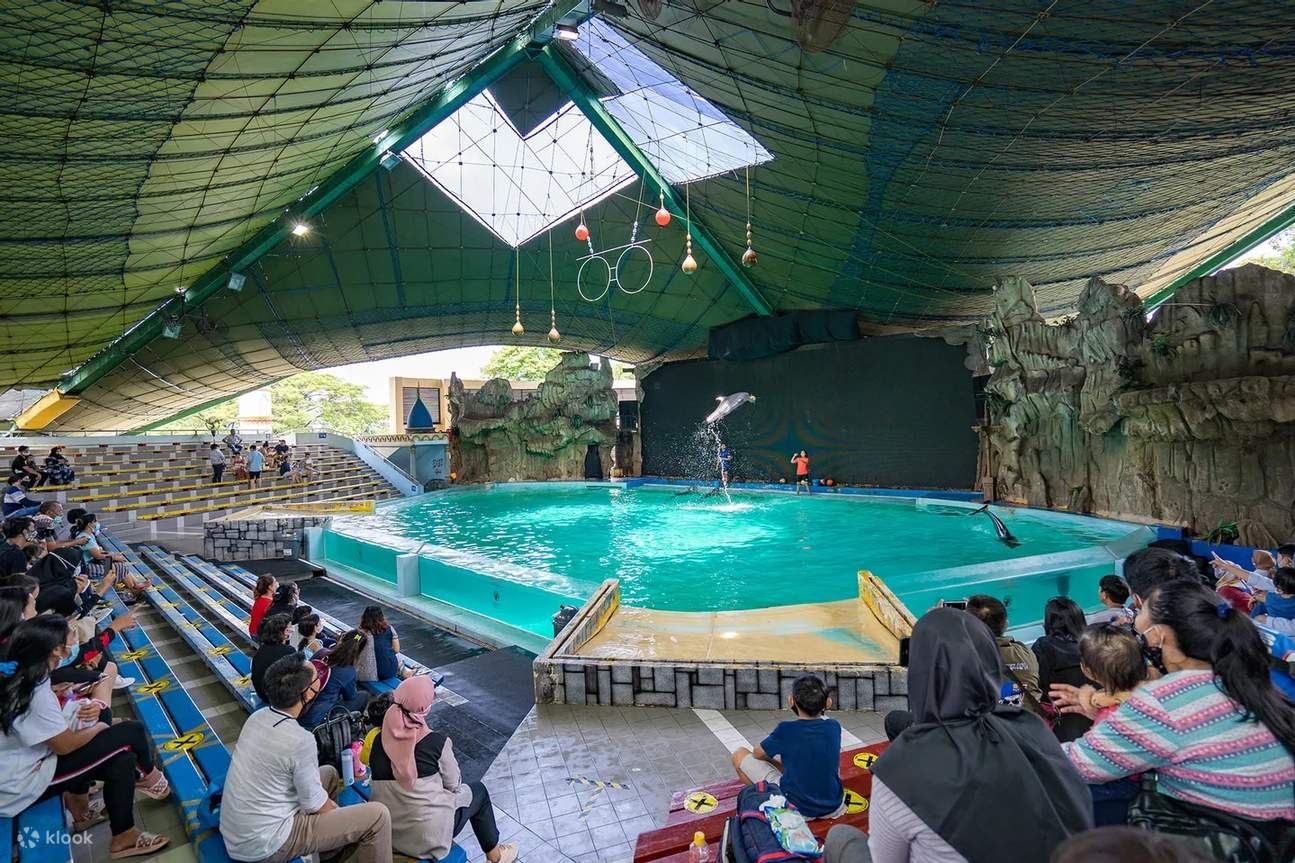 Indoor pool inside aquariums, swimmers splashing, green net ceiling, and spectators seated along the stands