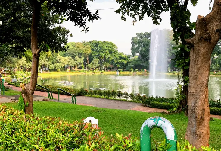 a park lake with a fountain and surrounding trees