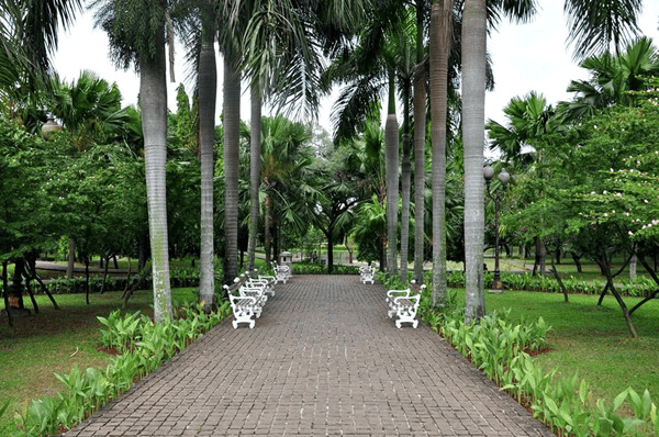 brick path with white benches and palm trees in a park
