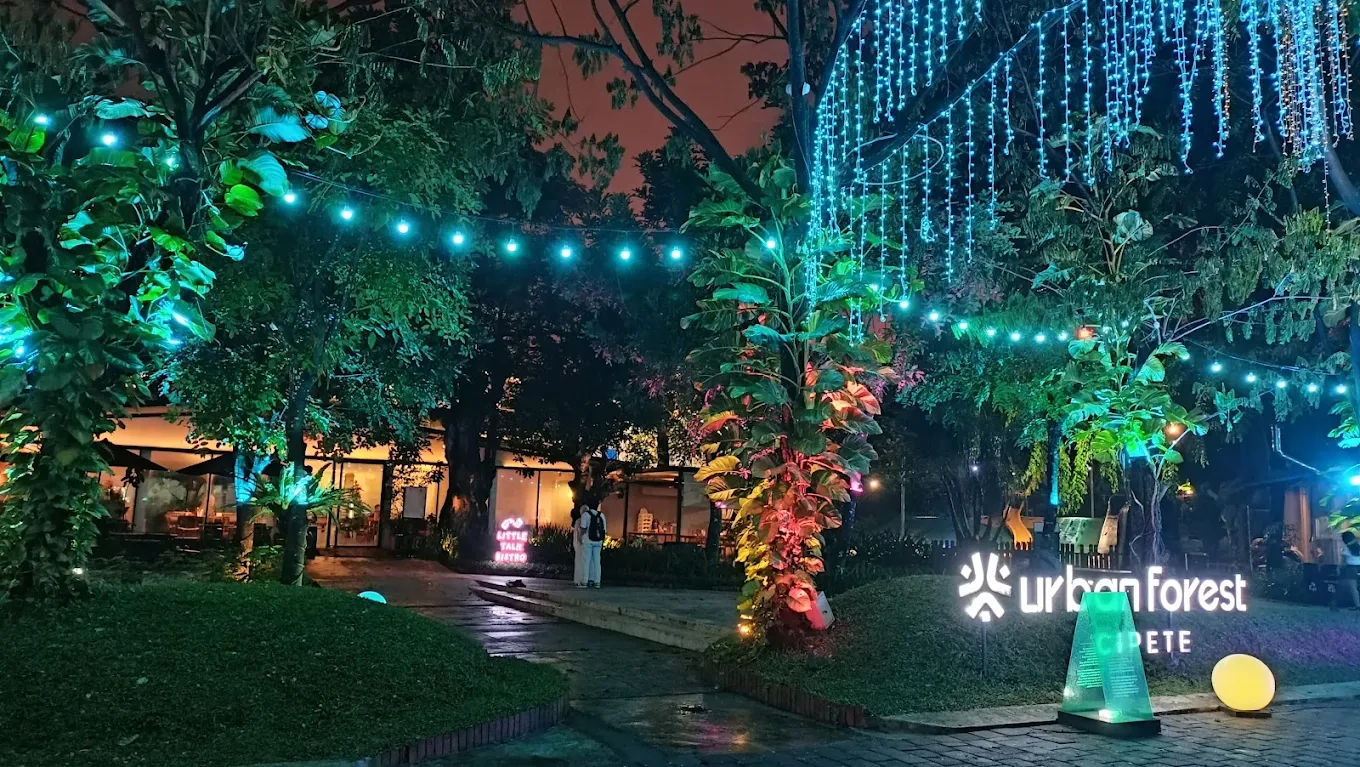 illuminated entrance of urban forest cipete with trees and hanging string lights