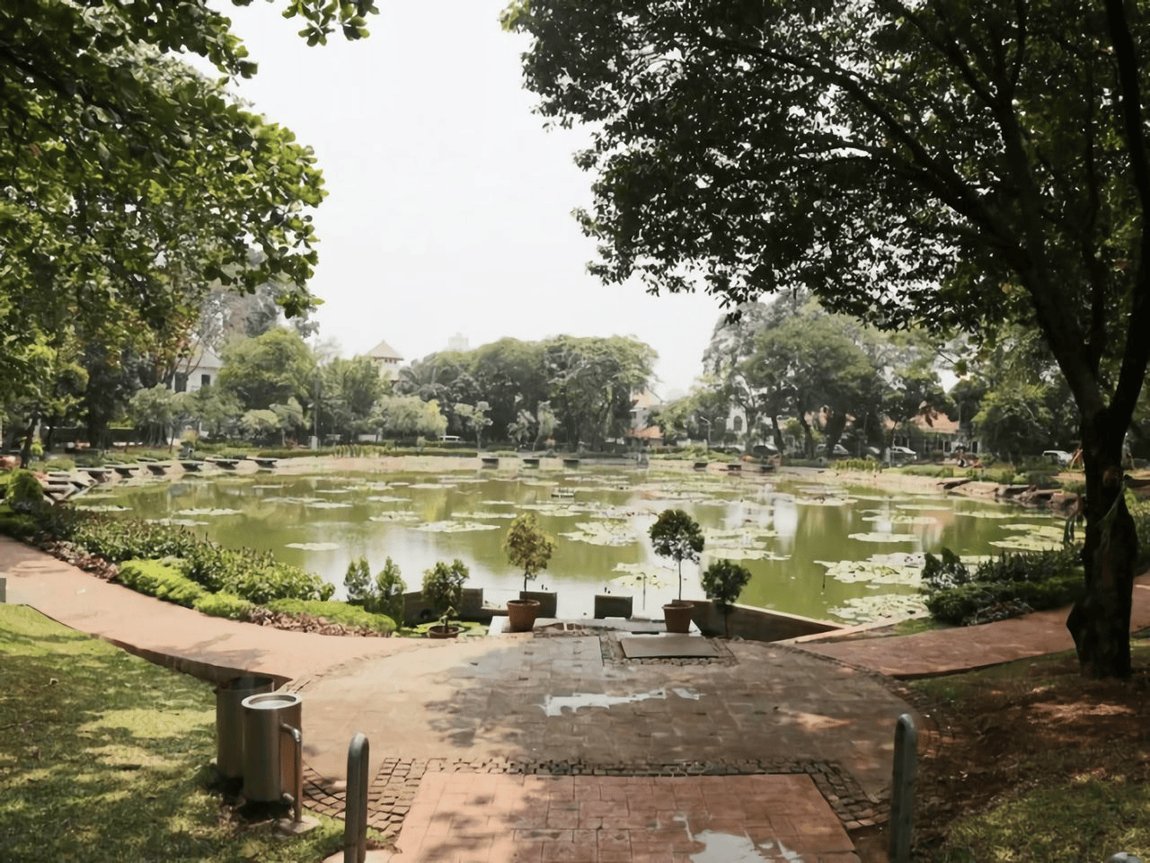 scenic park pond surrounded by lush green trees and lily pads