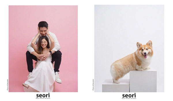 split photo showing a smiling couple and a corgi dog on white boxes