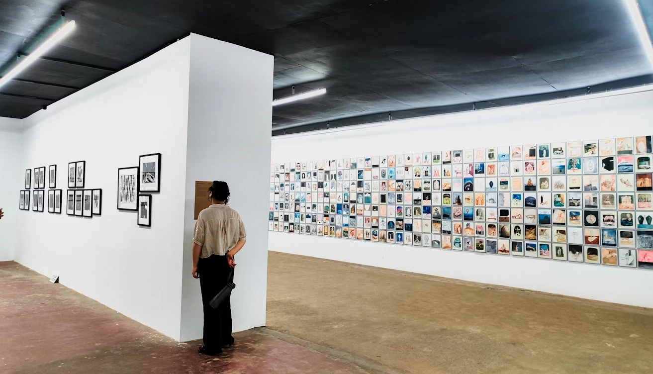 visitor looking at art wall display in a gallery