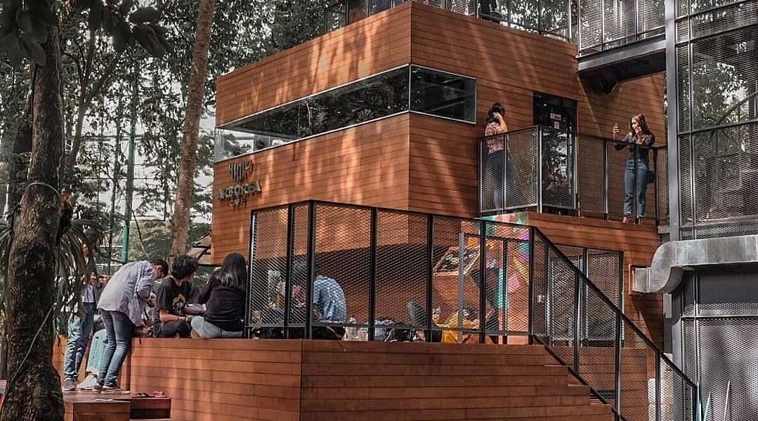 wooden multi-level cafe architecture surrounded by lush trees